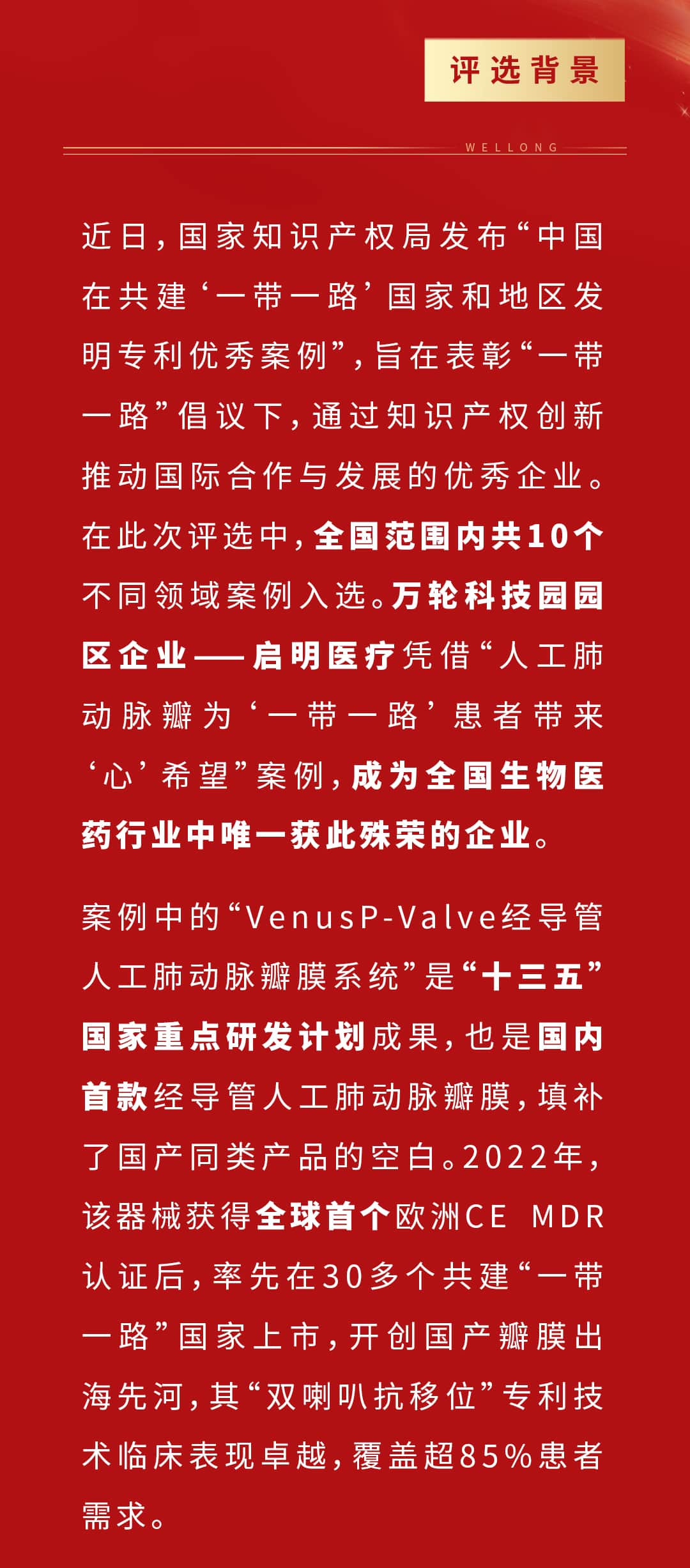 專利優(yōu)秀案例項(xiàng)目_02.jpg